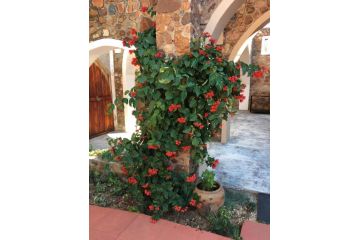Kruger Castle Guest house, Marloth Park - 3