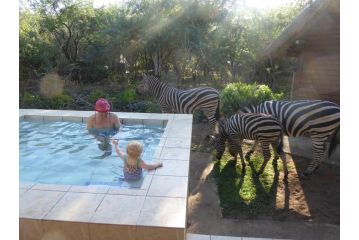 Kruger Cottage Guest house, Marloth Park - 1