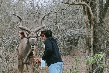 Marloth Park, Kruger safari house Guest house, Marloth Park - 5