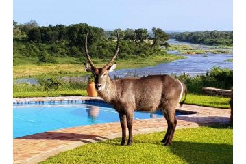 Kruger View Tree House Chalet, Marloth Park - 3