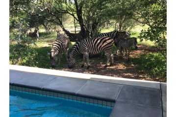 Kruger Willows Guest house, Marloth Park - 5