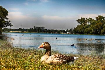 Lakeview Boutique Hotel & Conference Center Hotel, Benoni - 1