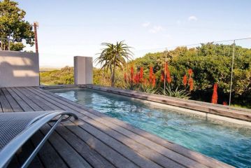 Larch House Seafront Villa, Hermanus - 2