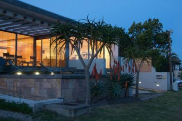 Larch House Seafront Villa, Hermanus - 4