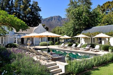 Lavender Farm Guest house, Franschhoek - 3