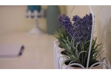 Lavender Lane Guest house, George - 1