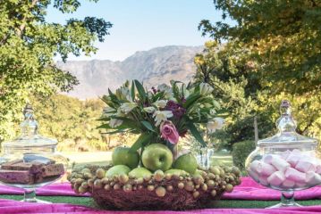 Le Manoir de Brendel Bed and breakfast, Franschhoek - 3