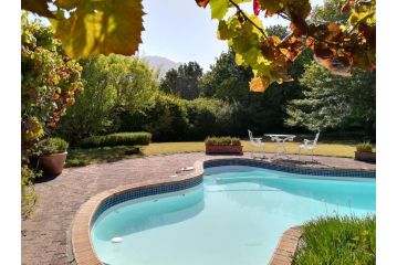 Le Petit Vignoble Bed and breakfast, Cape Town - 2