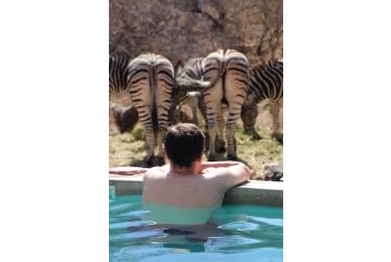 Leadwood Marloth, Kruger Park Guest house, Marloth Park - 3