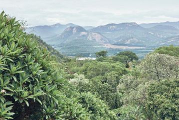 Leopard Tree Retreat Farm stay, Nelspruit - 2
