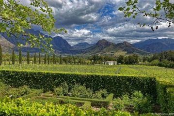 Lily Pond House at Le Lude Villa, Franschhoek - 1