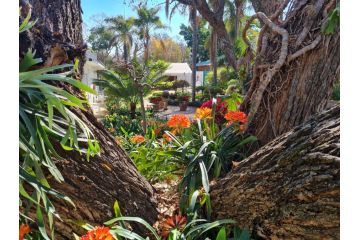 Lindekroon Guest house, Polokwane - 5