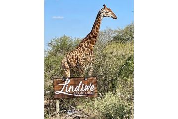 Lindiwe Safari Lodge Hotel, Hoedspruit - 2