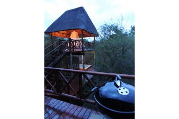 Lion Tree Bush Lodge Guest house, Marloth Park - 4
