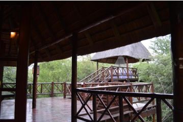 Lion Tree Bush Lodge Guest house, Marloth Park - 3