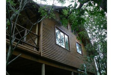 Lion Tree Bush Lodge Guest house, Marloth Park - 1