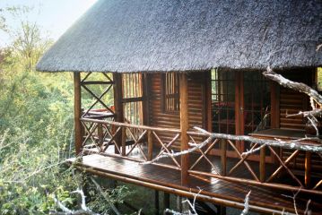 Lion Tree Bush Lodge Guest house, Marloth Park - 2