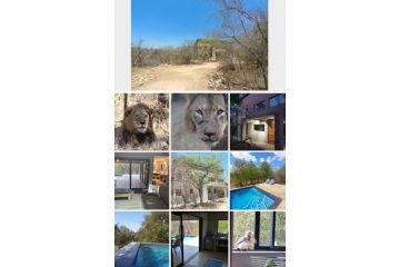 Lionsview Private Lodge - 6 Lions Villa, Marloth Park - 4