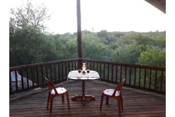 Little Bush Baby Guest house, Marloth Park - 2