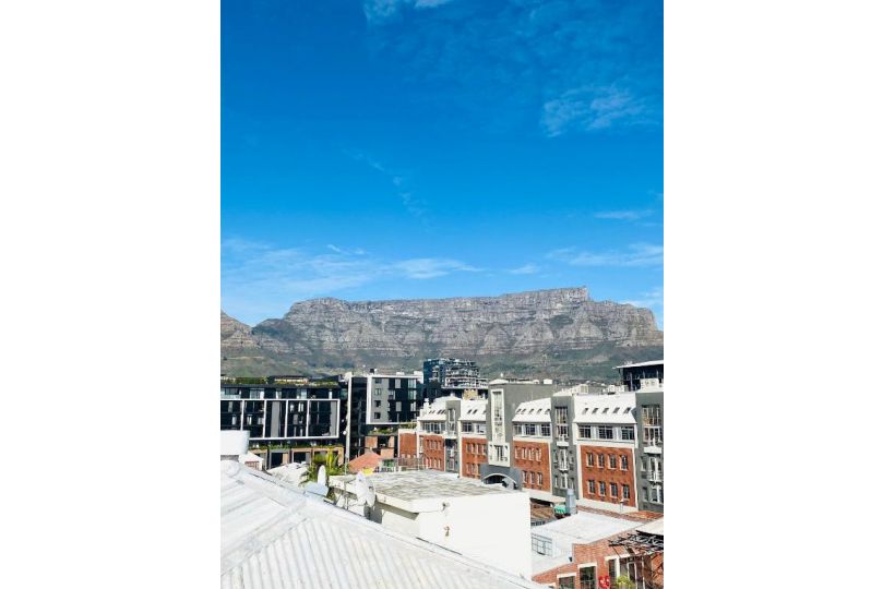 Loft 2 - De Waterkant Apartment, Cape Town - imaginea 15