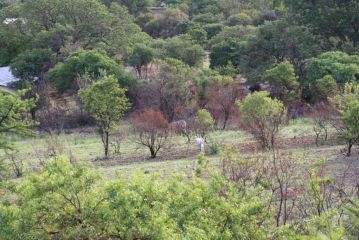 Lookout Lodge Game Estate Farm stay, Pretoria - 1