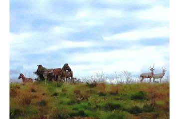 Lookout Lodge Game Estate Farm stay, Pretoria - 2