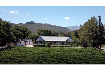 Lynx Wine Estate Guest house, Franschhoek - 2