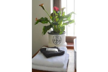 Madeliefie Guest Accommodation Bed and breakfast, Paarl - 4
