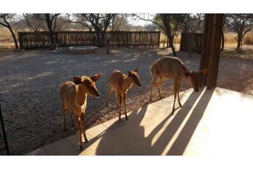 Makhato 84 Bush Lodge Chalet, Bela-Bela - 1