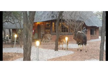 Makhato Bush Lodge 3 Guest house, Bela-Bela - 2