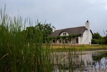 Manley Wine Estate Bed and breakfast, Tulbagh - 5