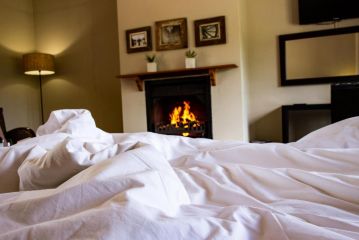 Manley Wine Estate Bed and breakfast, Tulbagh - 3
