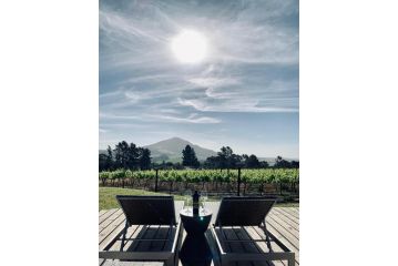 Marianne Wine Estate Bed and breakfast, Stellenbosch - 4