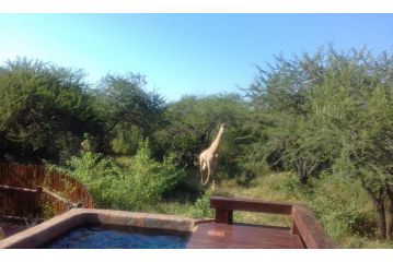 Marloth Kruger Whispering Ants Guest house, Marloth Park - 4