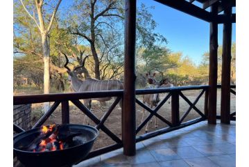 Marloth park Hippo's Rock self-catering house Guest house, Marloth Park - 4