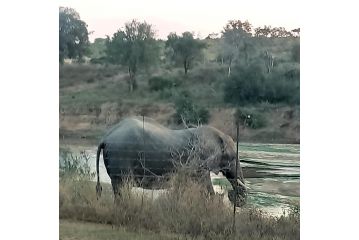 Marloth Wild Fig Guest house, Marloth Park - 3