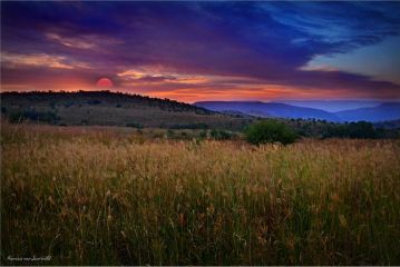 Maropeng Boutique Hotel, Magaliesburg - 1