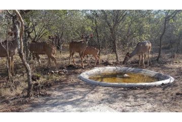 Mary B' Cottage Apartment, Marloth Park - 1