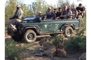 Masodini Game Lodge Hotel, Hoedspruit - 1