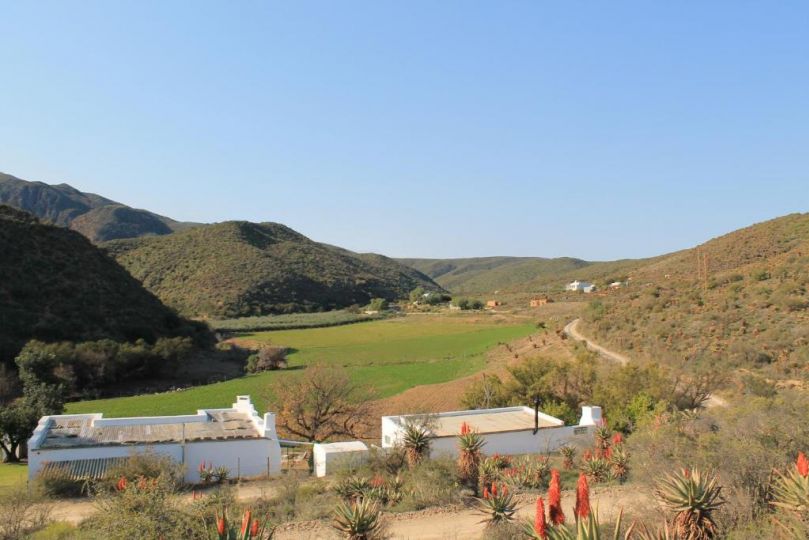 Matjiesvlei Guestfarm Farm stay, Calitzdorp - imaginea 6