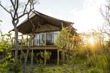 Mdluli Safari Lodge Hotel, Hazyview - 4
