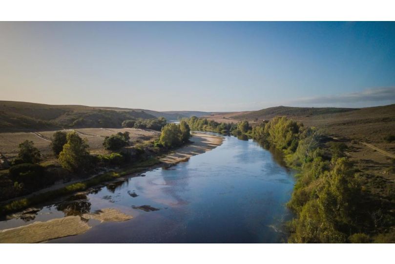 Melk Houte Bosch Guest Farm Guest house, Swellendam - imaginea 10