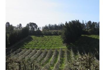 Modderkloof Farm Accommodation Apartment, Paarl - 1