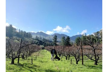 Modderkloof Farm Accommodation Apartment, Paarl - 4