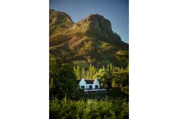 MolenVliet Vineyards Guest house, Stellenbosch - 4