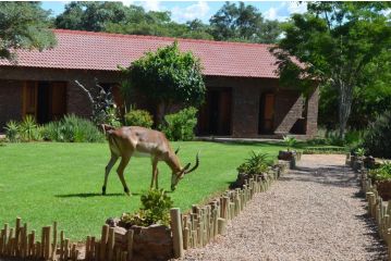 Mon Repos Guest Farm Farm stay, Bela-Bela - 3