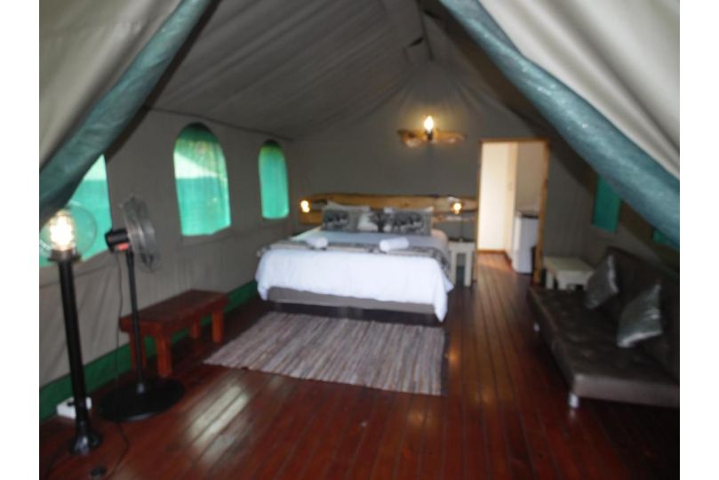 Luxury Tented Village @ Urban Glamping Campsite, St Lucia - imaginea 8