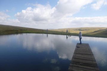 Moonlight Meadows just outside Dullstoom Farm stay, Dullstroom - 2