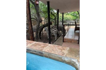 Mopani Guest house, Marloth Park - 4