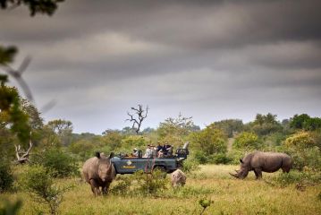 Motswari Private Game Reserve Hotel, Timbavati Game Reserve - 2